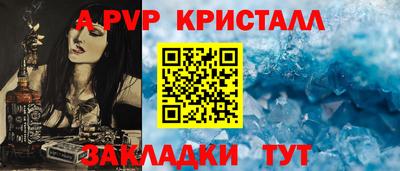 дмт Кингисепп