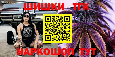 дмт Кингисепп