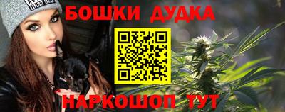 spice Кинель