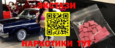 дмт Кингисепп
