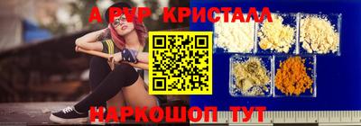 дмт Кингисепп