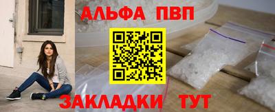 дмт Кингисепп