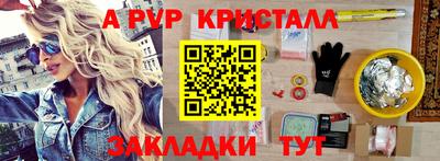 дмт Кингисепп